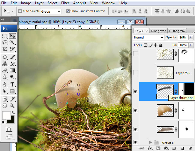 hippo, photoshop, nest, egg, shell, flying hippo, cute, baby, wings, hippopotamus, feathers